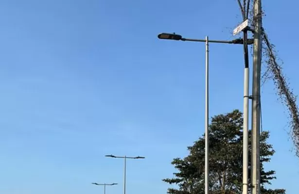 Pangmatagalang Kaso sa Pakikipagsosyo ng Brand | Strategic ODM / OEM Kooperasyon sa Smart Photovoltaic Lighting.